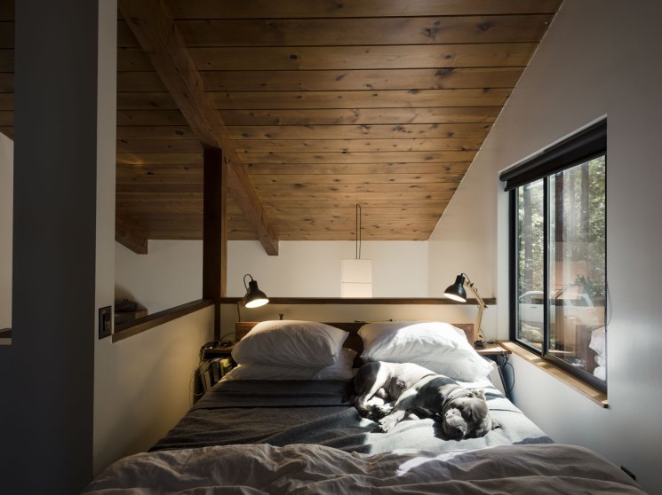 Modern bedroom with exposed wooden ceiling beams, white walls, pendant lighting, and a dog resting on the bed