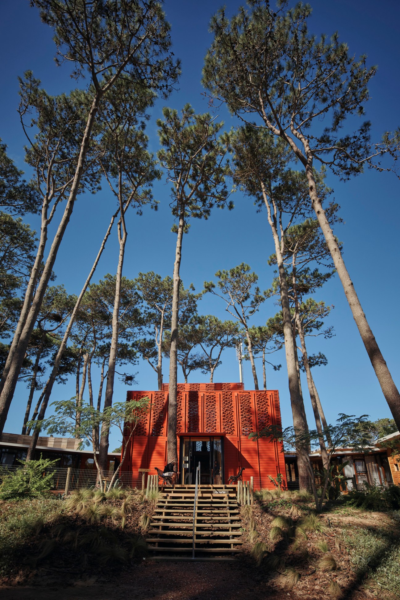 Red brick bookshop Rizoma nestled among tall pine trees with wooden entrance steps.