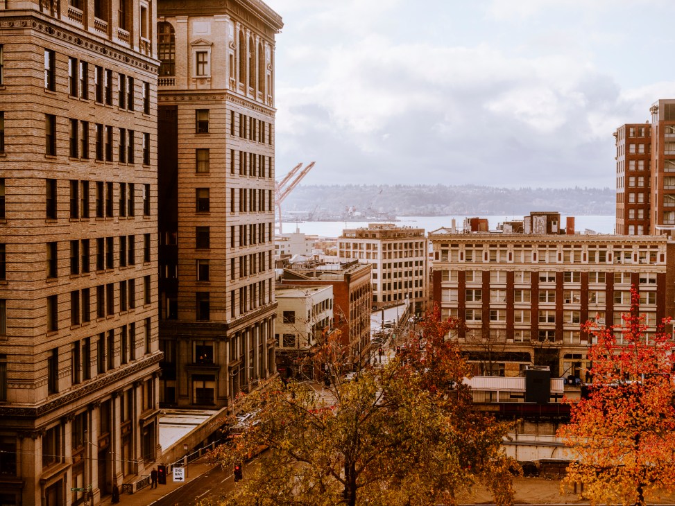 View from Seattle City Hall looking out towards Elliott Bay waterfront with autumn trees in foreground