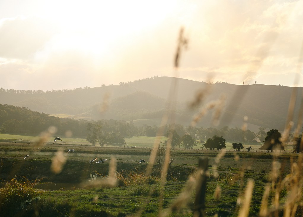 Sweeping valley landscape view showing patchwork of farms and vineyards in King Valley