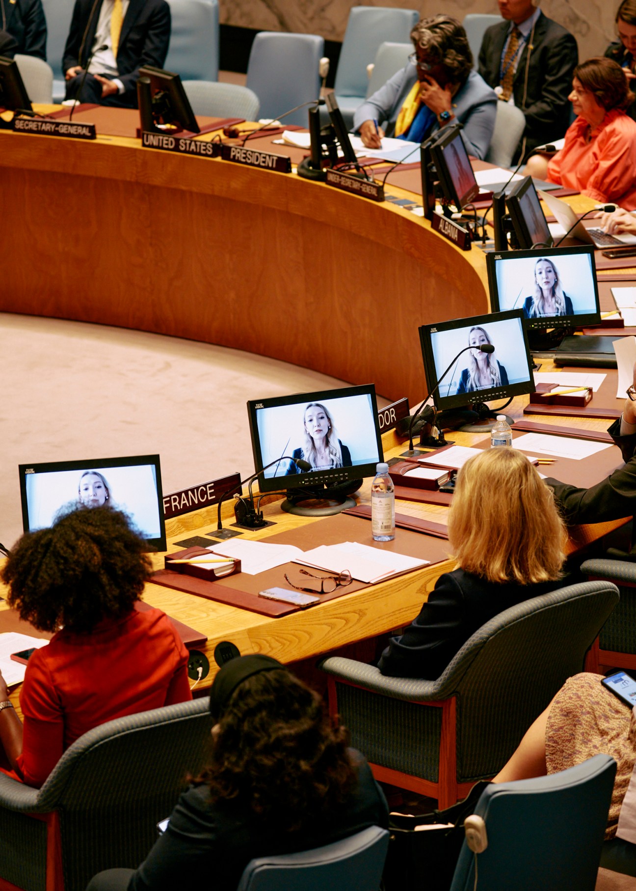 Ukrainian human rights lawyer speaking via video link to UN Security Council members seated at wooden desk.