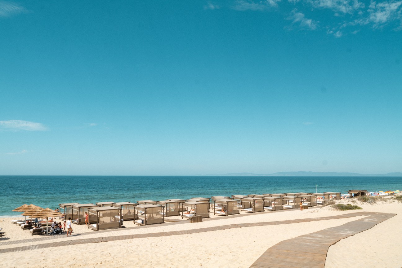 Thatched parasols arranged along waterfront beach setting
