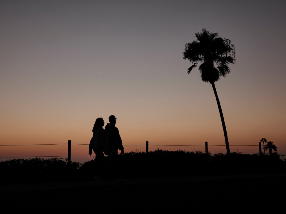 Silhouetted couple standing together on hillside overlooking ocean at sunset with palm tree