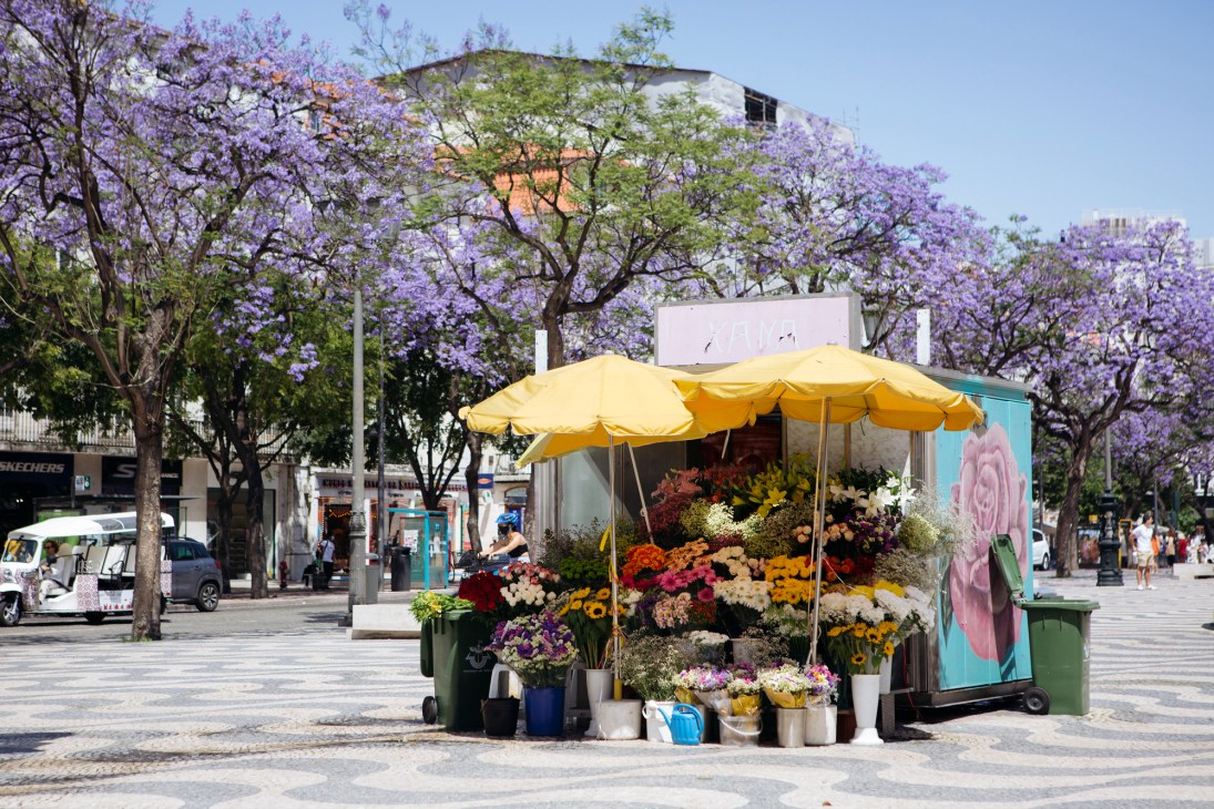 A flower kiosk with yellow umbrellas on a Lisbon street lined with purple jacaranda trees in bloom.