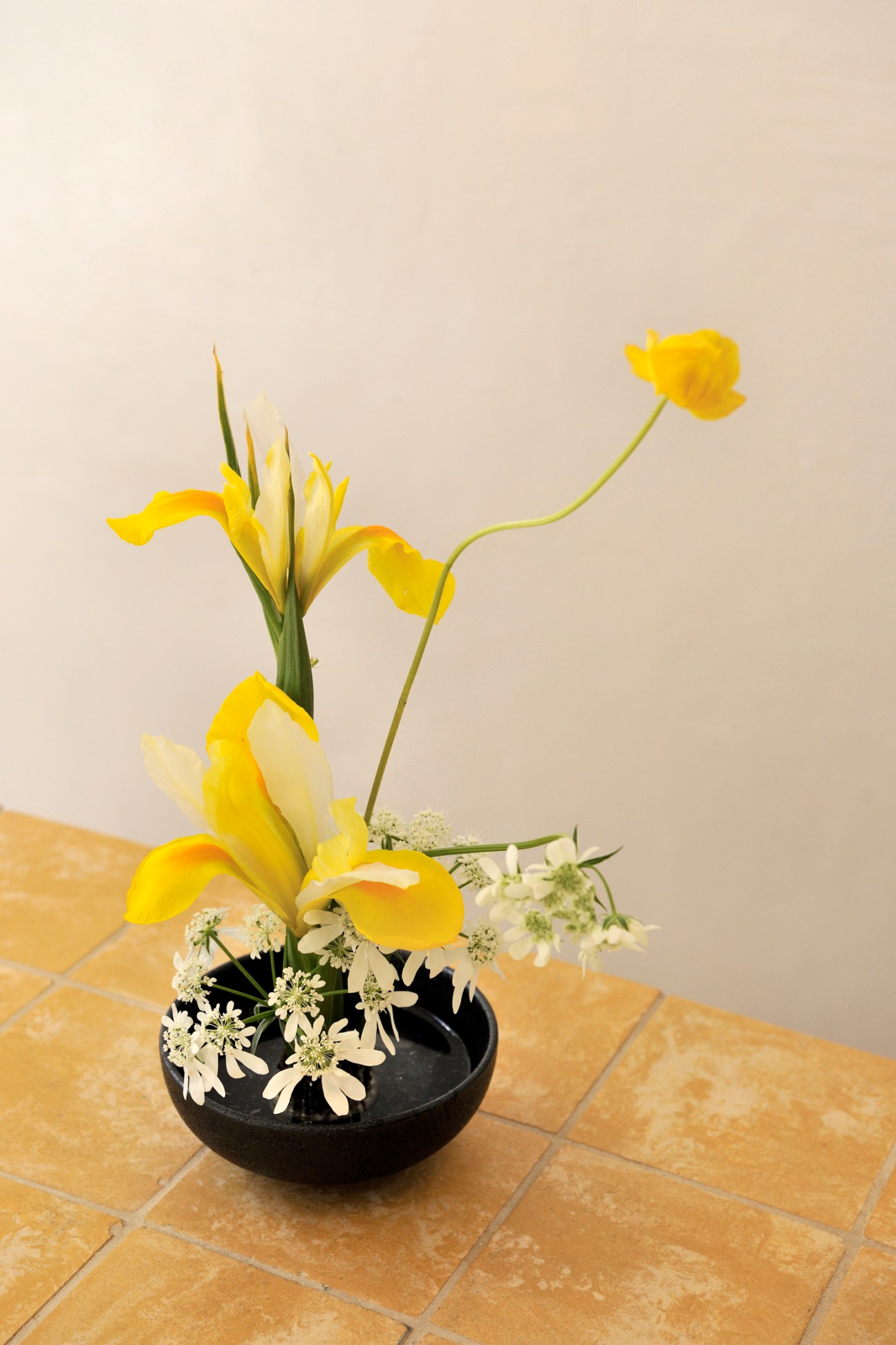 Ikebana-style flower arrangement with yellow iris and ranunculus in black bowl on tiled floor