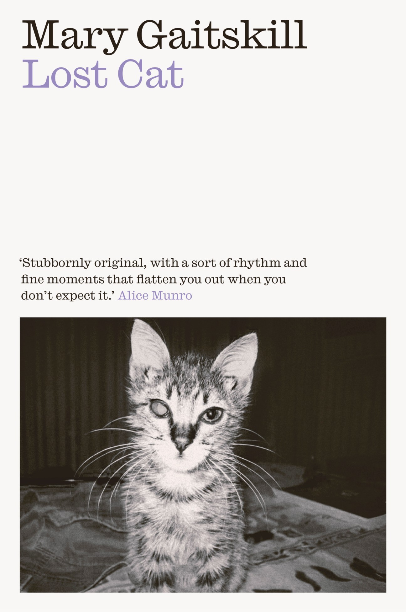 Book cover for Lost Cat by Mary Gaitskill with black text on white background and small kitten photo