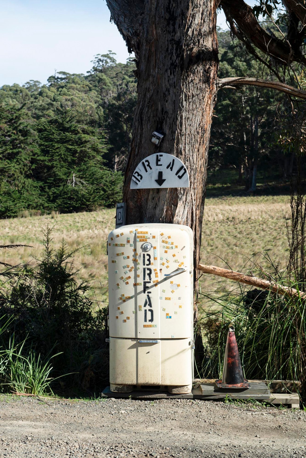Old white refrigerator covered with small rectangular stickers positioned against a tree trunk on a rural road