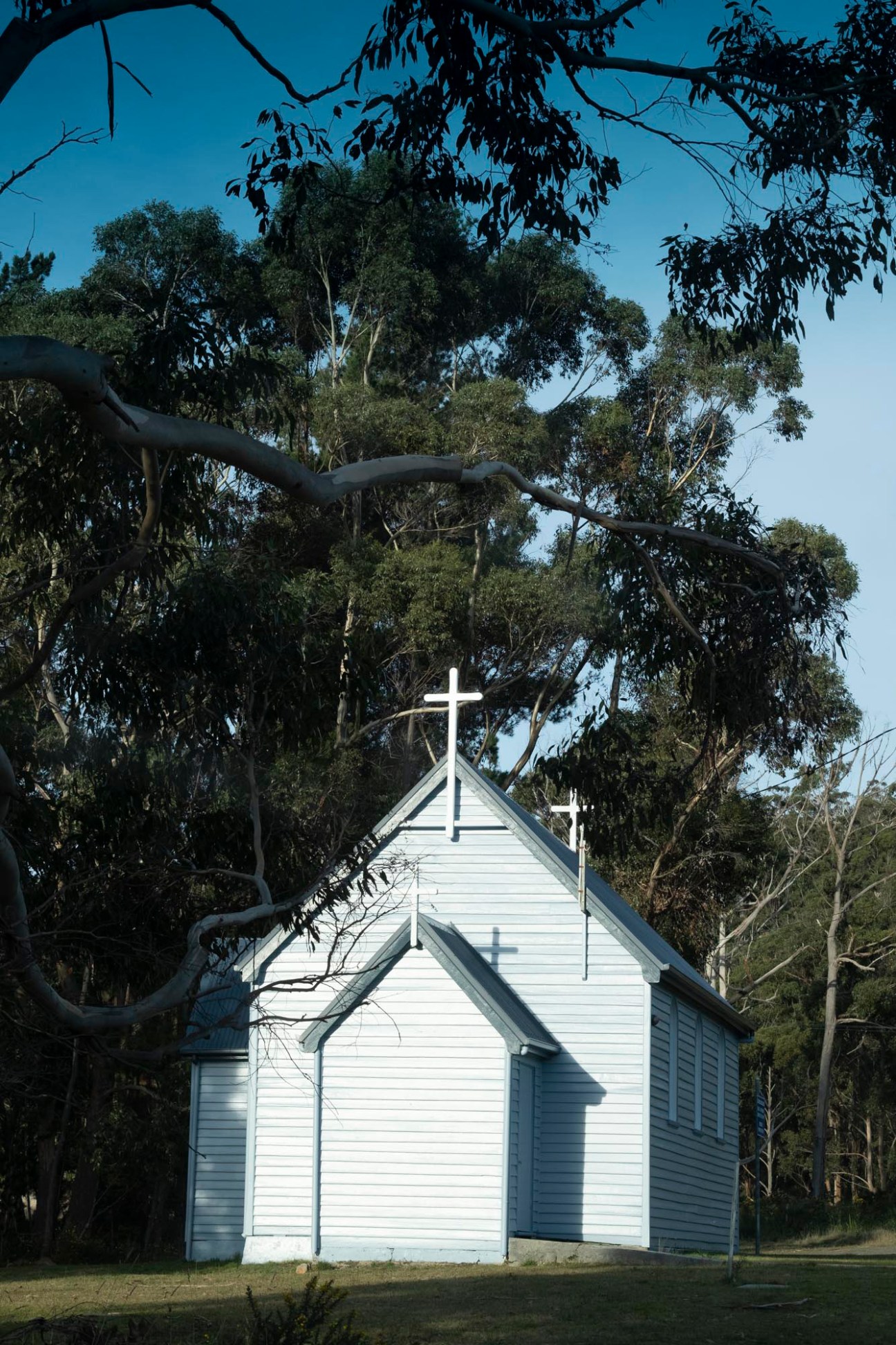 Small white wooden church building with cross on peaked roof surrounded by eucalyptus trees