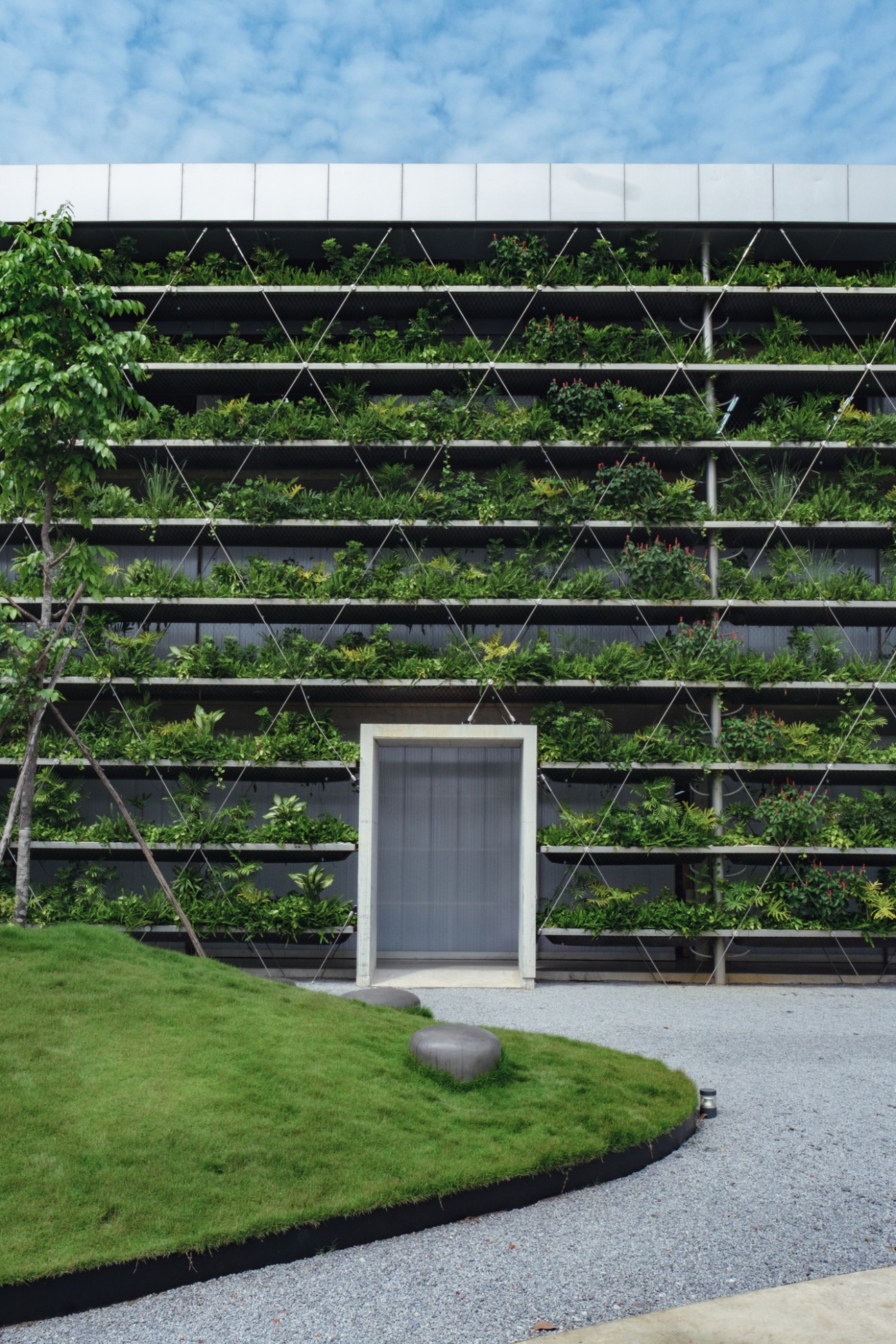 Modern black horizontal planting beds with lush green vegetation and white climbing trellises against white facade wall.