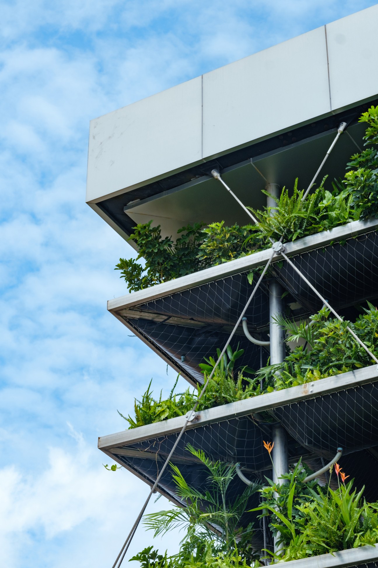 Multi-level building facade with staggered balconies featuring lush green vegetation and climbing plants against a blue sky.