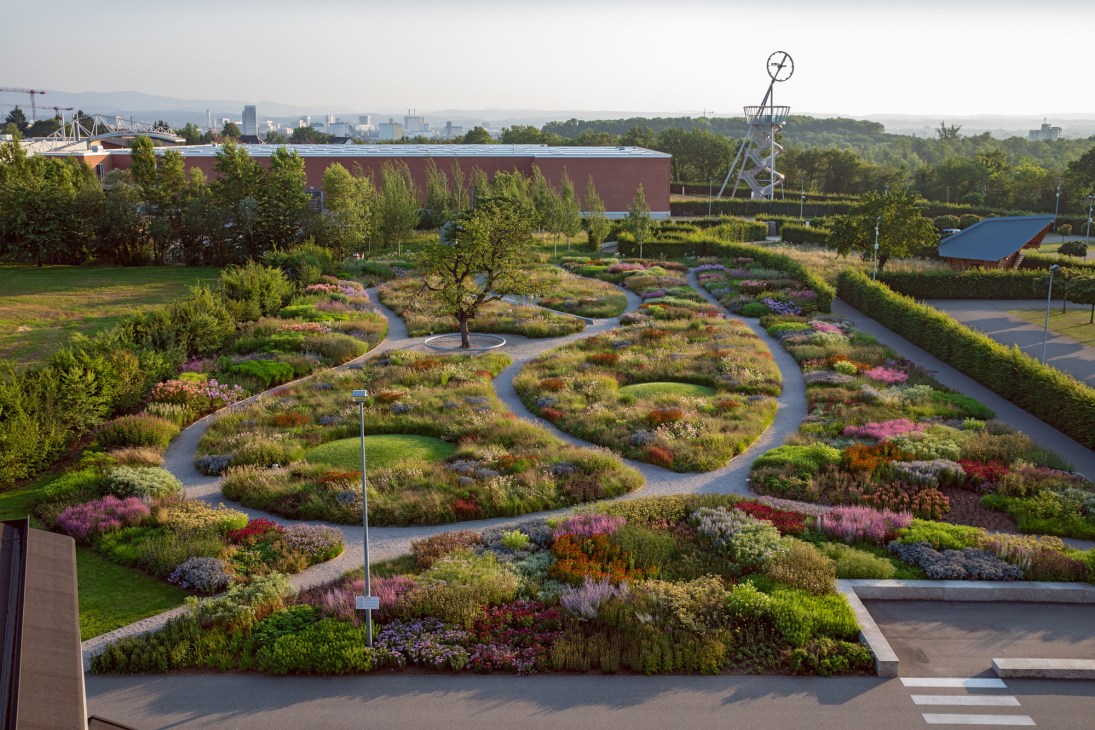 Piet Oudolf's naturalistic garden design for Vitra featuring meandering pathways through wild perennial plantings