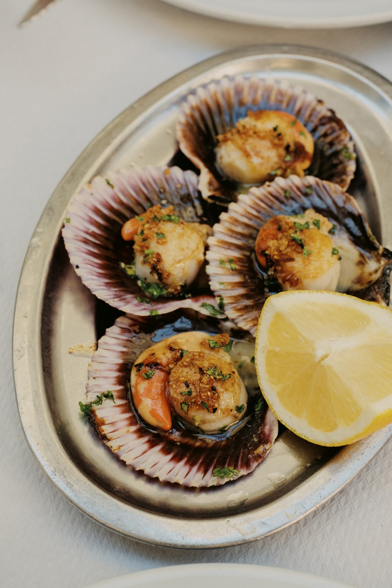 Four seared scallops served in their shells on a metal plate with lemon wedge and herbs