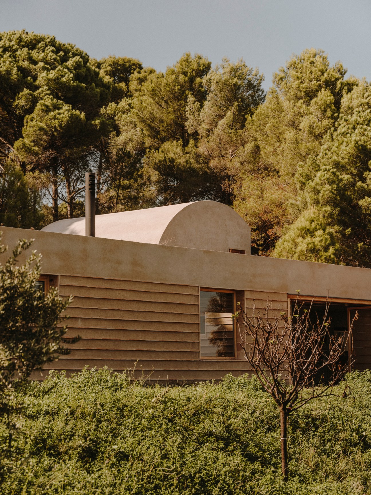 Casa Ter countryside residence with concrete façade and curved roof surrounded by dense woodland.