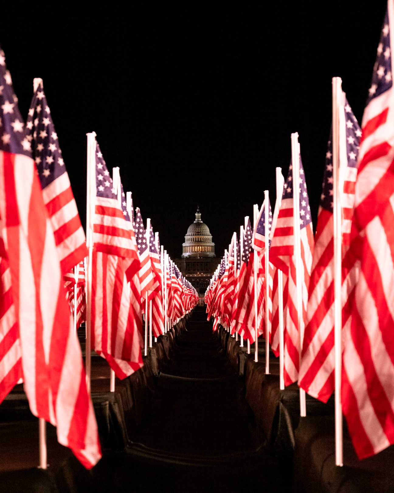 Rows of American flags planted across the National Mall in Washington DC with the Capitol building in background