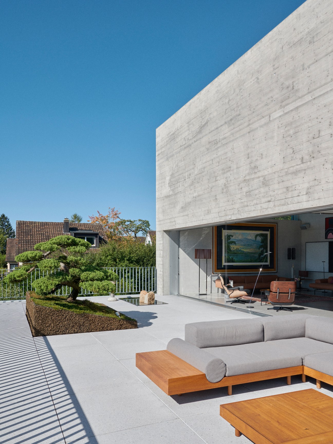residence terrace with bonsai tree