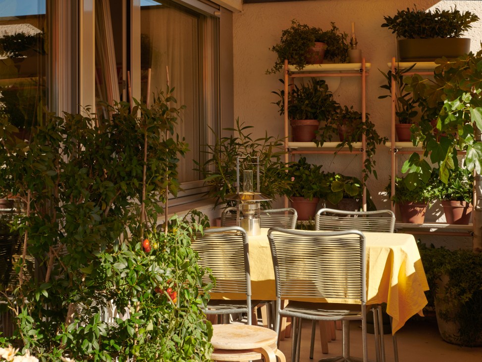Outdoor balcony table with lamp and tomato plants growing in background