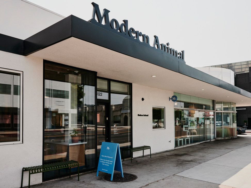 Modern Animal veterinary clinic exterior with signage, featuring a contemporary white and dark facade with large windows in West Hollywood.