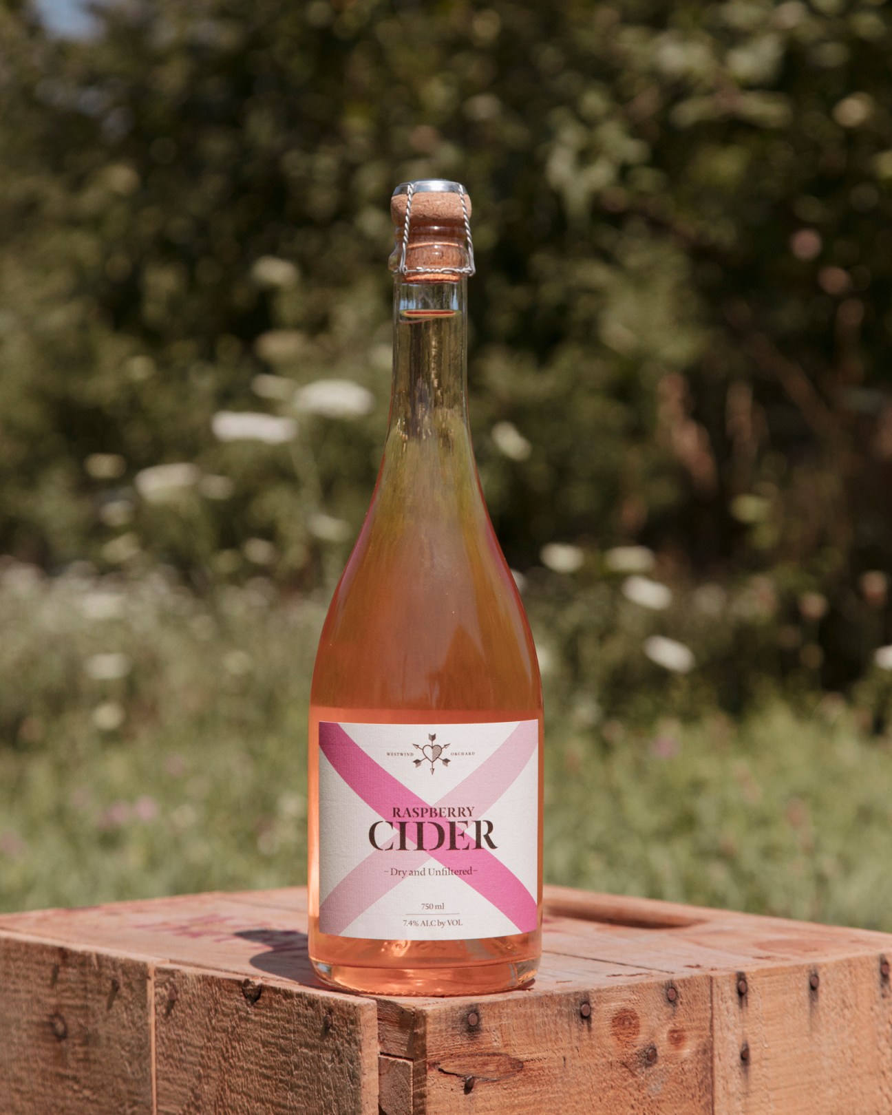 Westwind Orchard raspberry cider bottle with cork closure against blurred foliage background