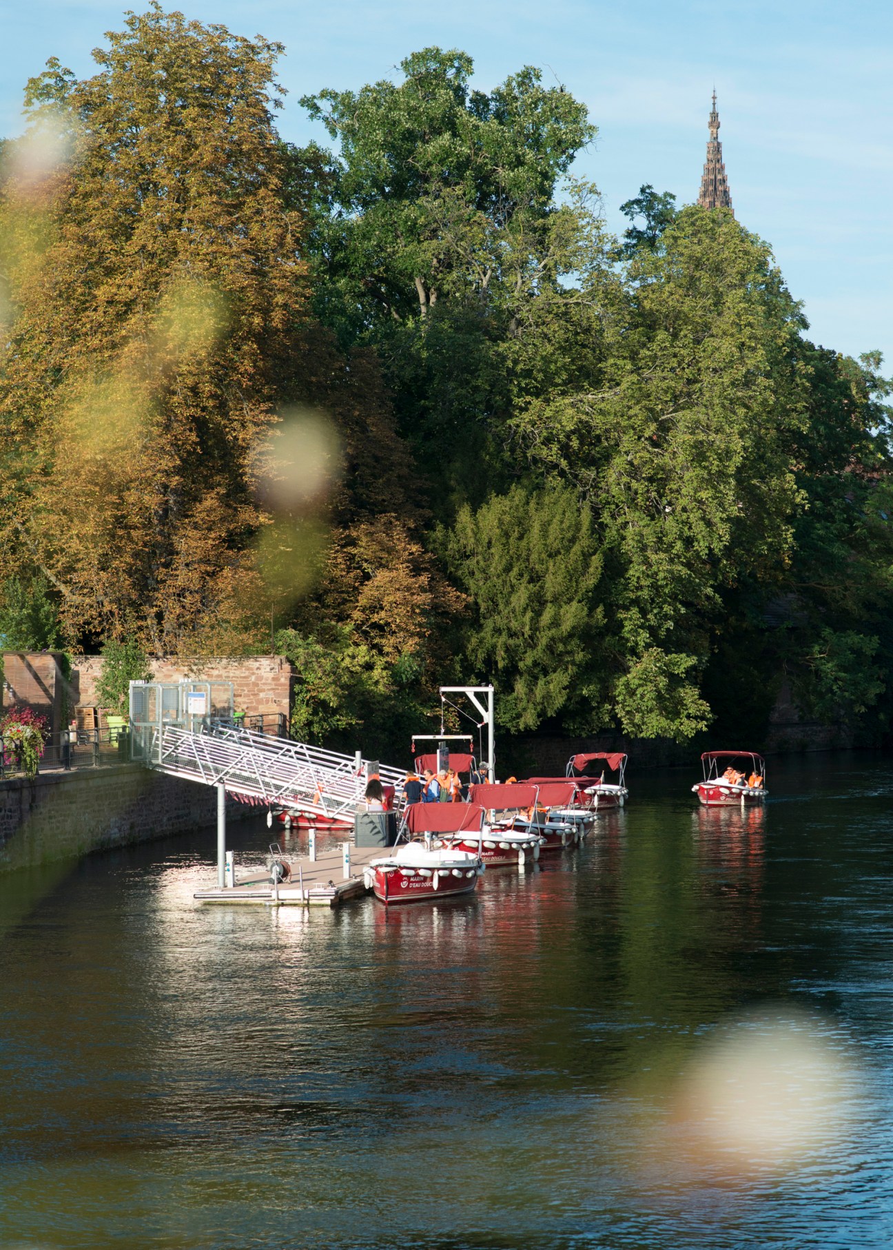 Tourist boats moored at a dock along a tree-lined canal in Strasbourg