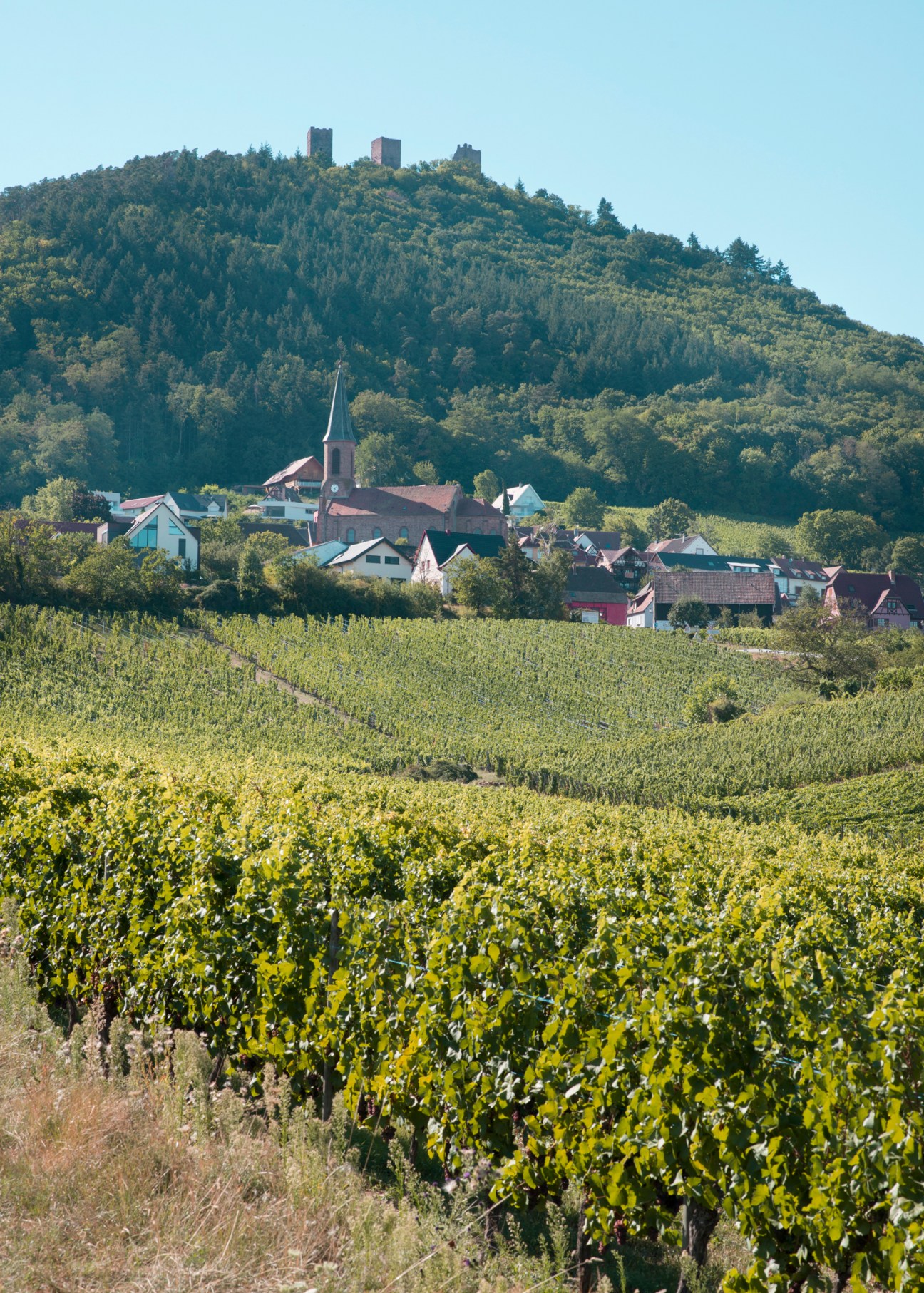 Village of Husseren-les-Châteaux nestled among vineyards with medieval towers on forested hilltop above