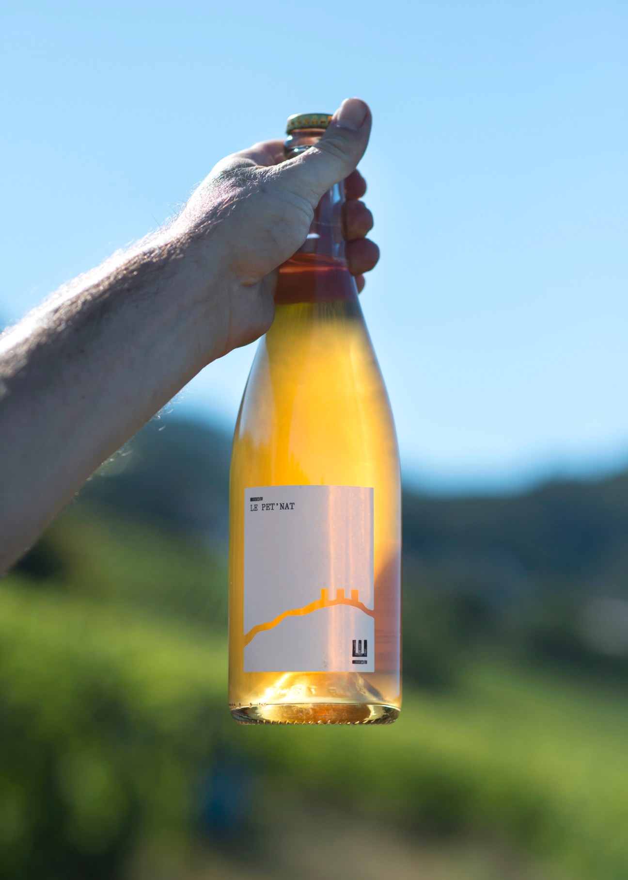 Hand holding bottle of Pierre Weber's natural wine with minimal label against blurred outdoor background