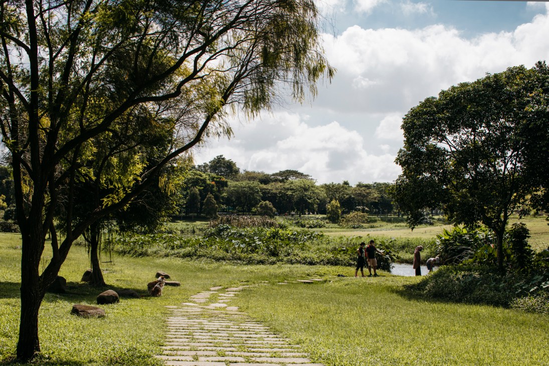 Stone path leading down to a meandering river through green parkland