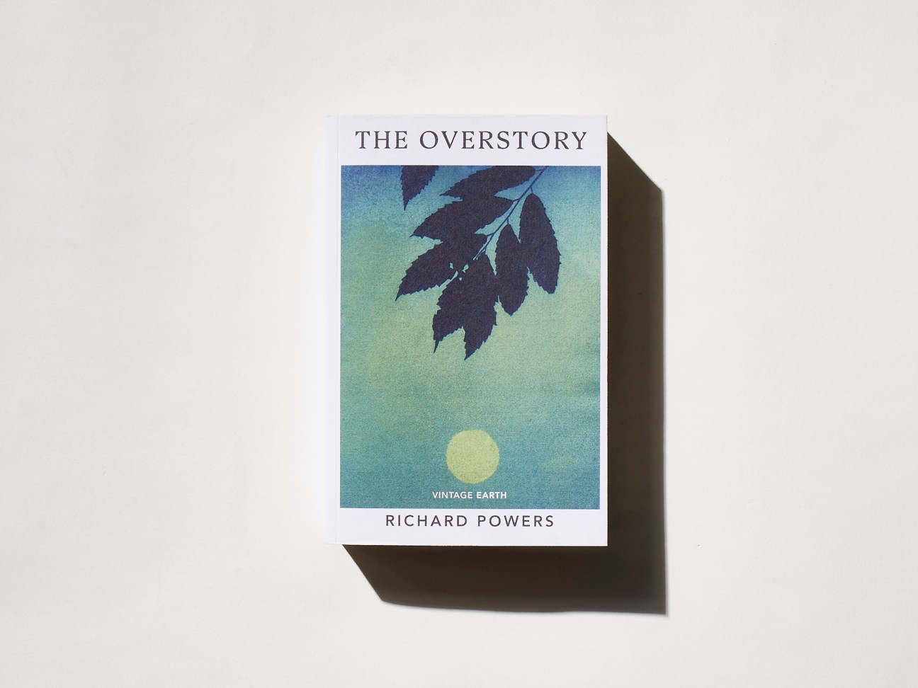 ‘The Overstory’ by Richard Powers