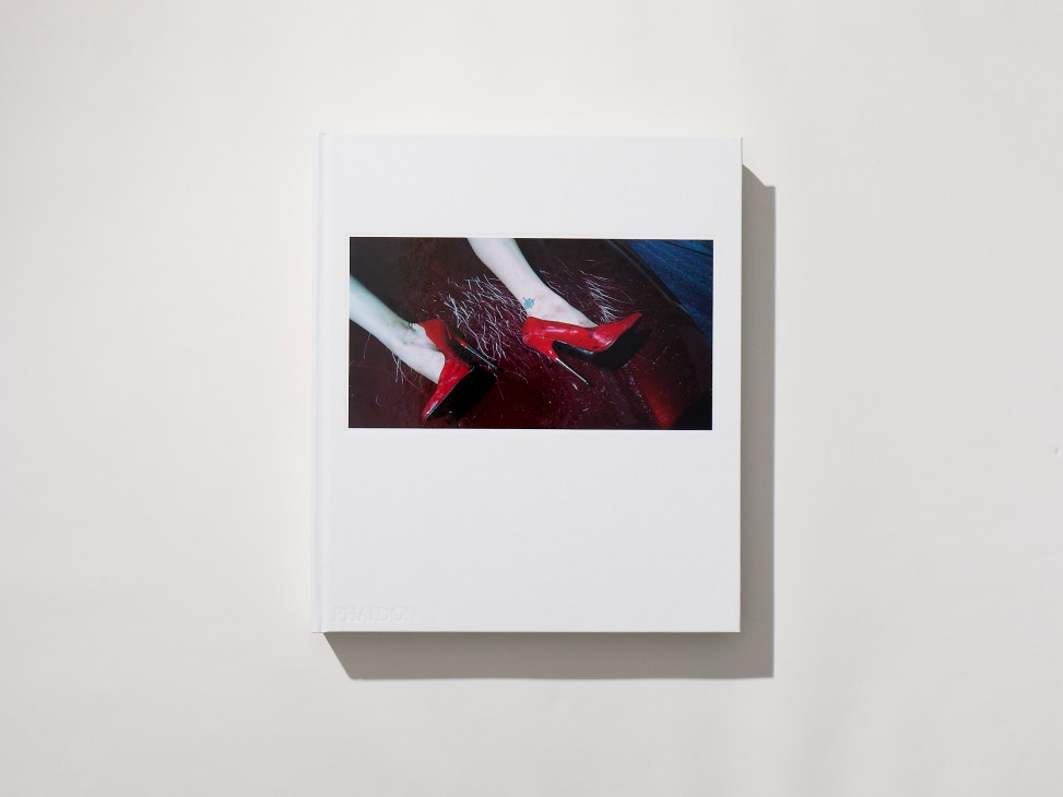 Steven Klein: Steven Klein book cover