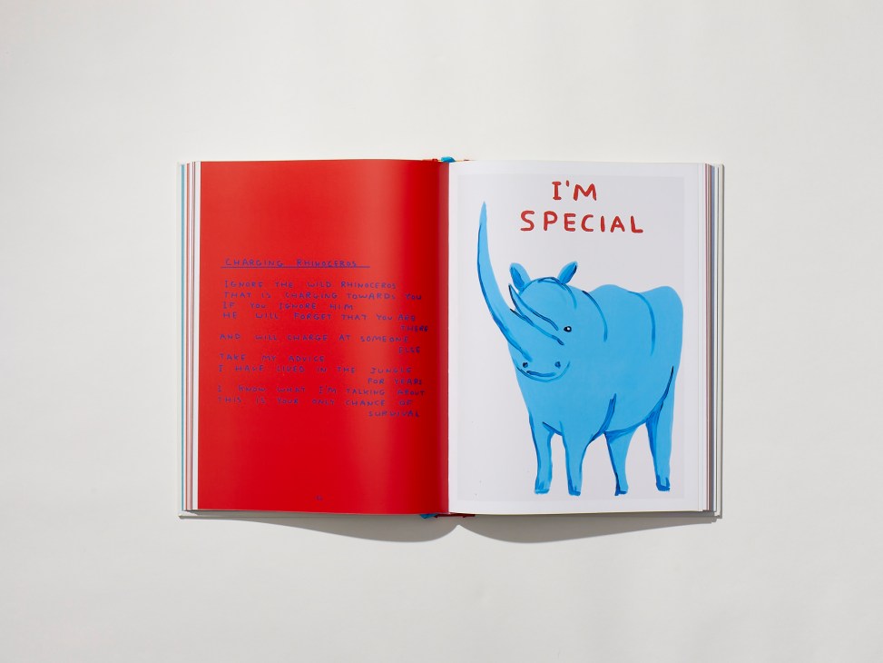 Open book showing blue rhinoceros illustration with text 'I'M SPECIAL' on right page, red text on left page