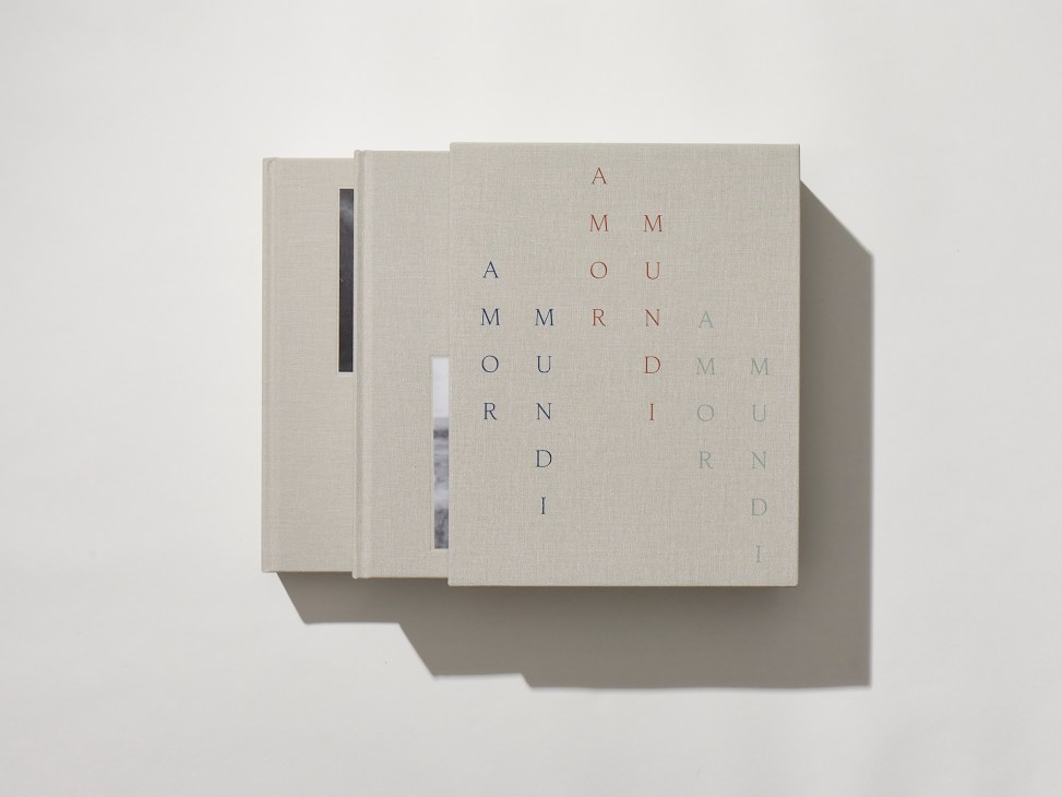 Amor Mundi book cover by Marguerite Steed Hoffman