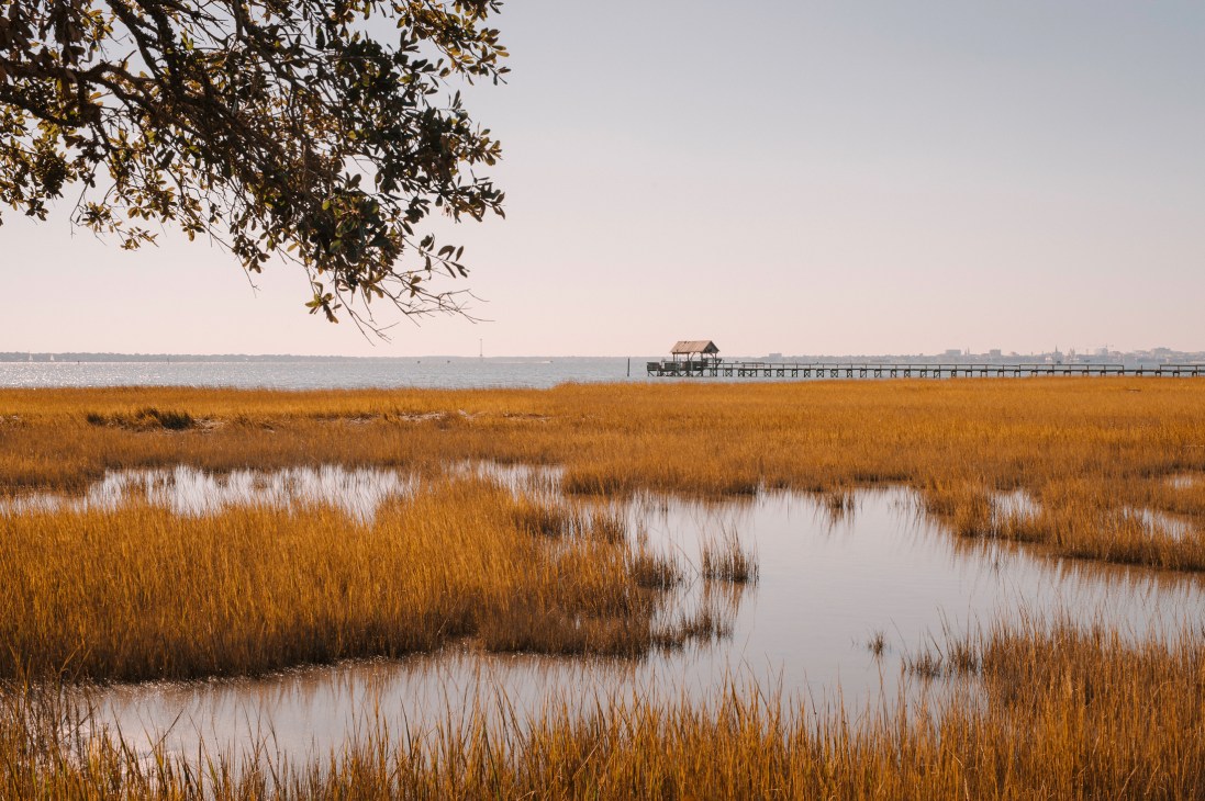 Golden salt marsh grasses and water channels with a wooden pier extending into the bay under an overcast sky