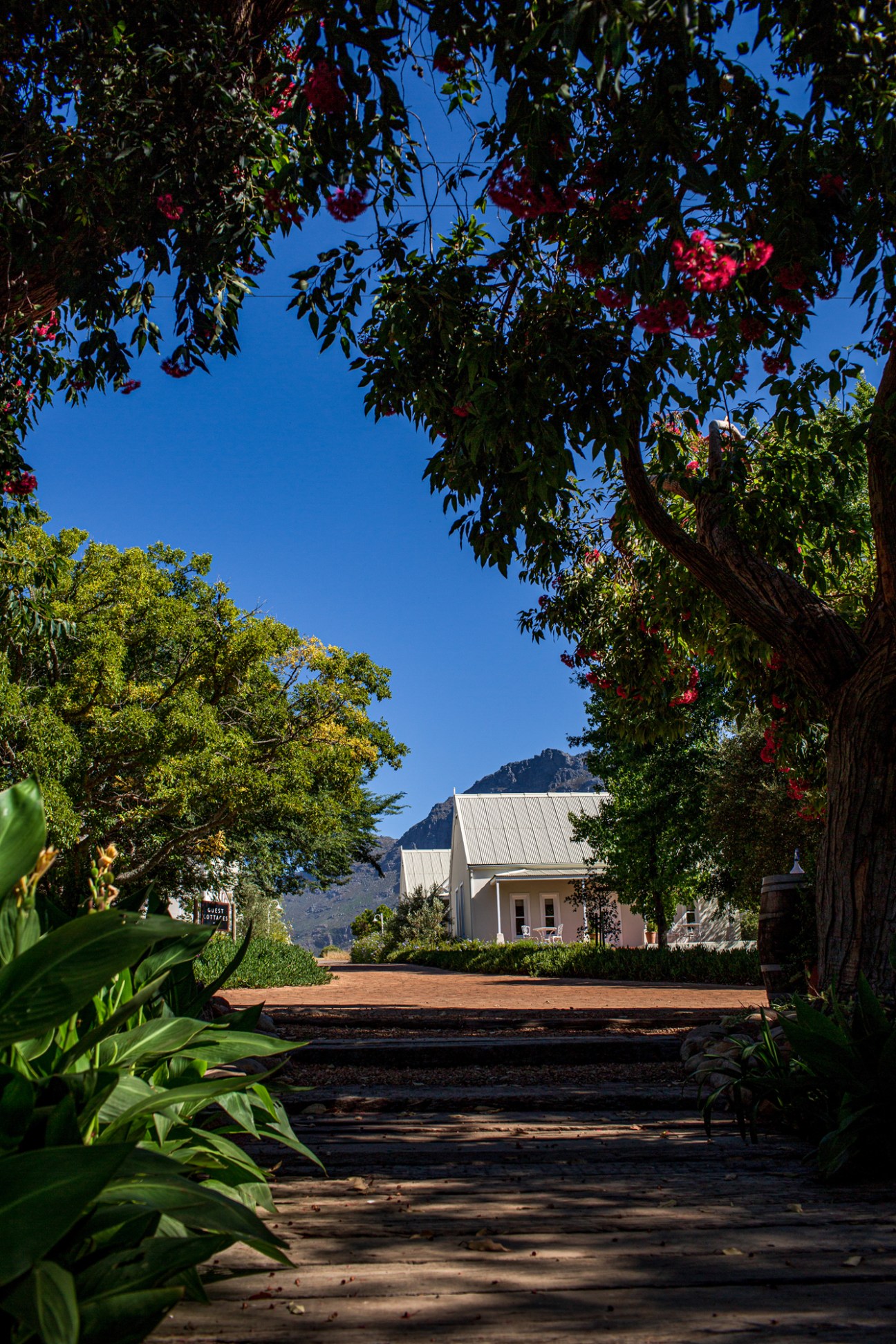 Stone pathway leading through lush garden with flowering trees toward white building with mountain backdrop