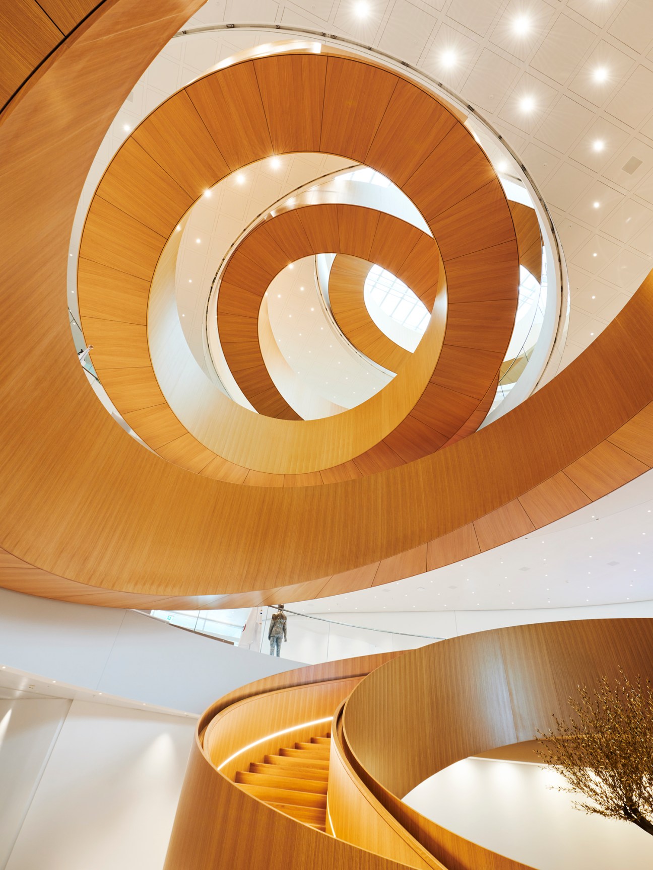 Spiral wooden staircase viewed from above showing curved timber design connecting multiple floors