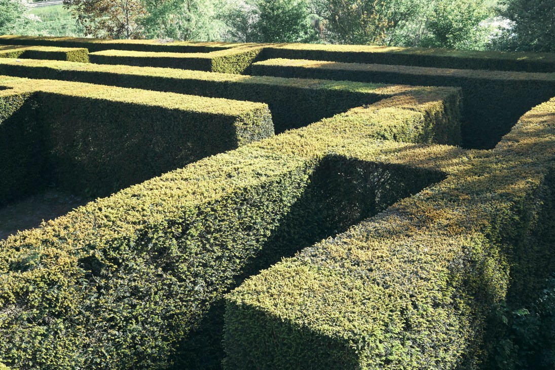 Hedge maze at Amstelpark with geometric green hedges creating a winding pathway.