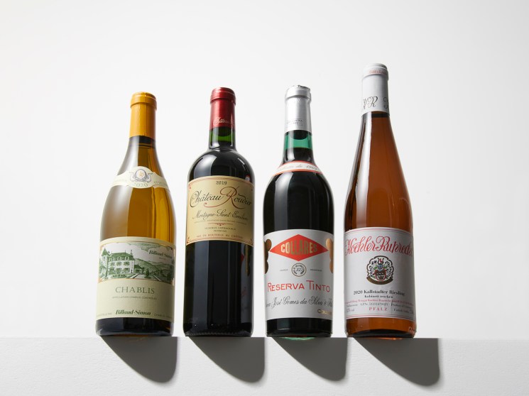 Four wine bottles arranged in a row against white background showing different label designs and bottle shapes