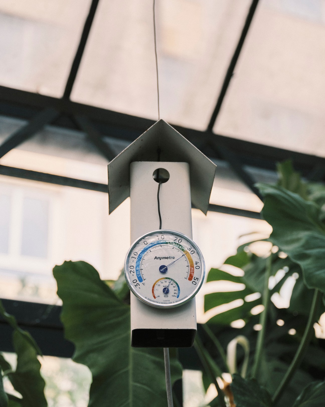 A white thermometer mounted in a house-shaped frame shows temperature readings, surrounded by green plants in a greenhouse