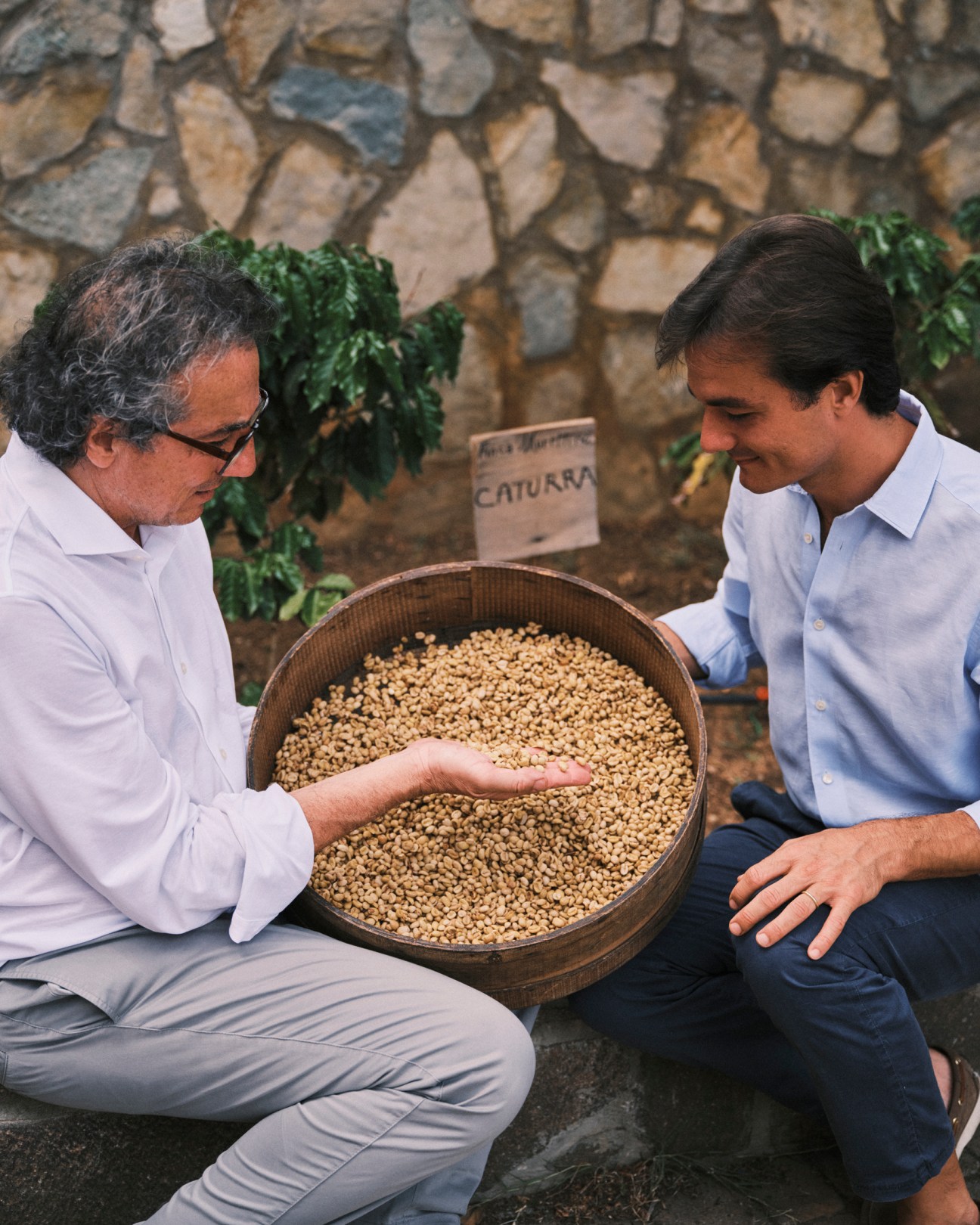 Two men in white shirts examine coffee beans in a wicker basket against a stone wall background