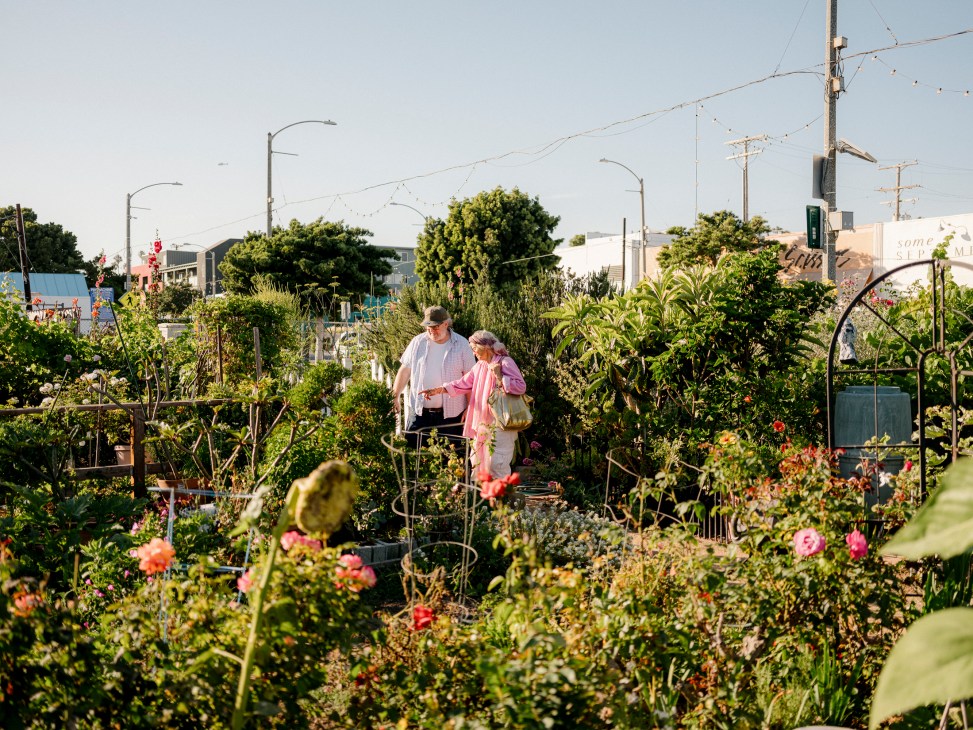 Two people walking through a lush community garden with flowering plants and garden plots in Santa Monica