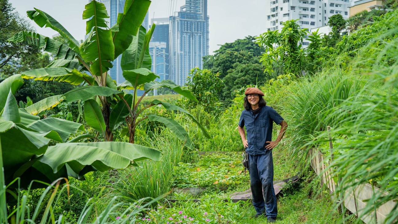 Architect Ng Seksan standing in community garden with tropical plants and Kuala Lumpur skyline in background