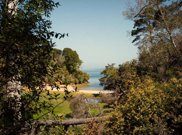 nicholas-albrecht_monocle_tomales-bay-836.jpg