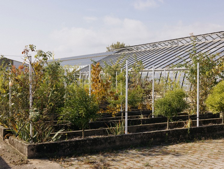 Greenhouse with solar panels on roof containing various citrus plants and crops growing in raised beds.