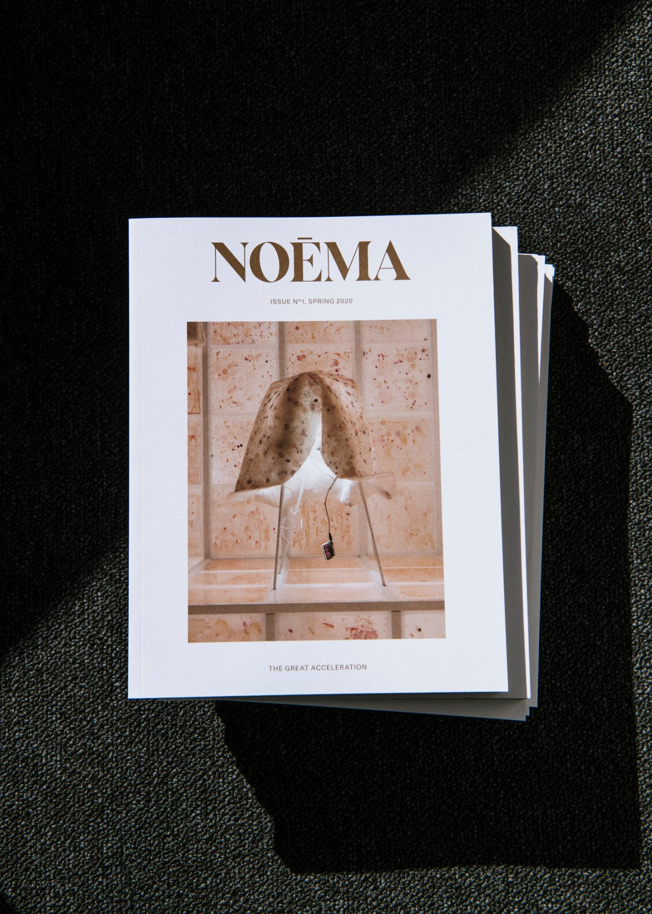 First issue of Noema magazine showing cover design