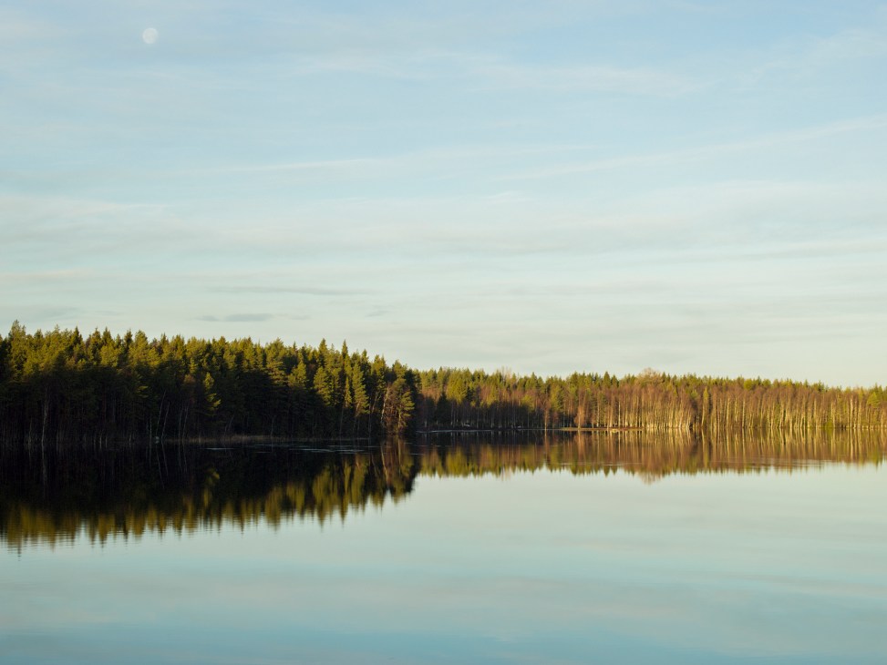 Calm lake reflecting dense forest of evergreen trees under pale sky in northern Swedish countryside