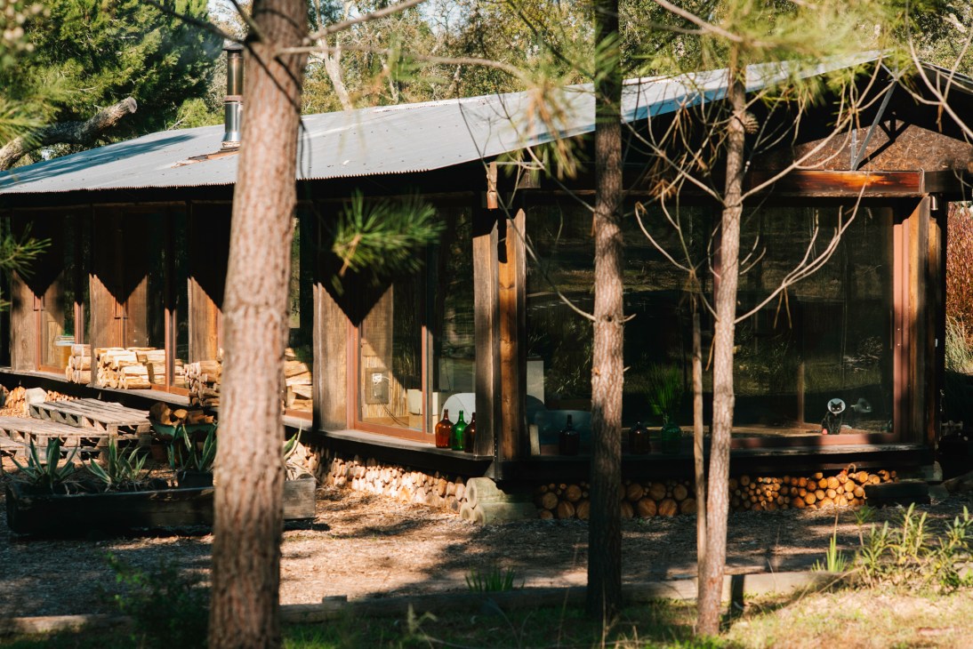 Modern glass house with timber elements nestled among pine trees in Portuguese countryside