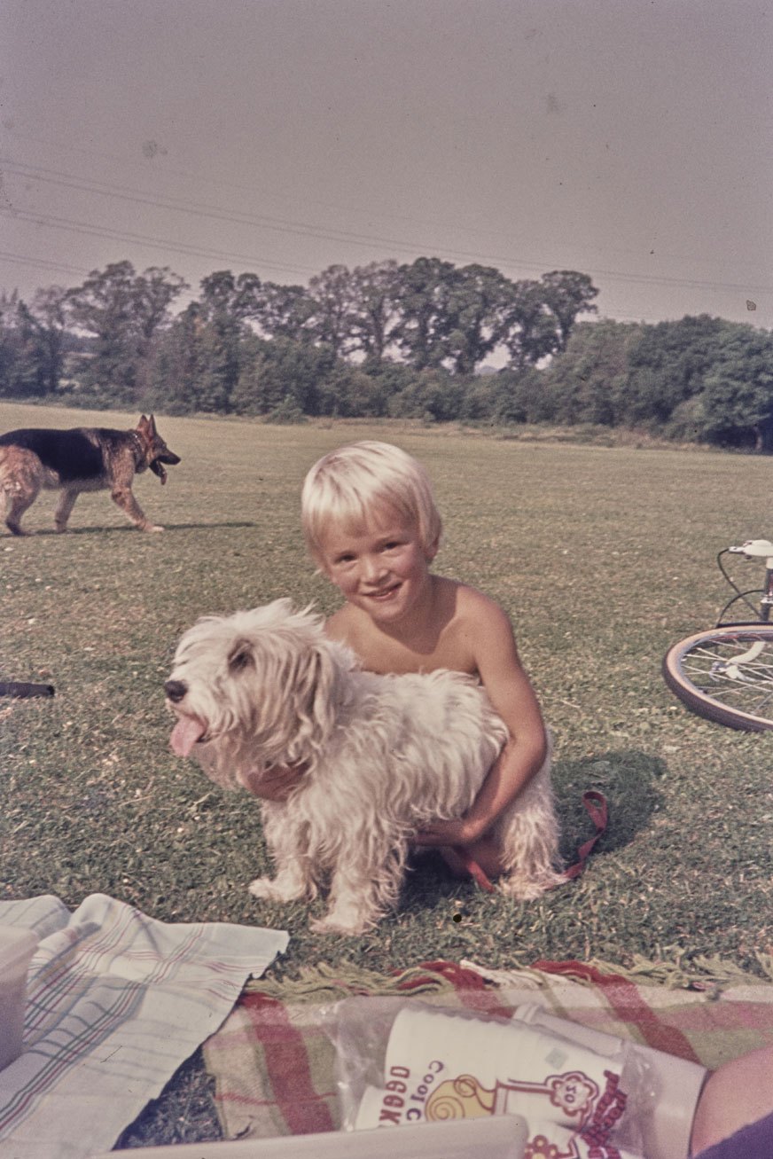 Young blonde child sits with small white fluffy dog on grass field with another dog and bicycle visible in background