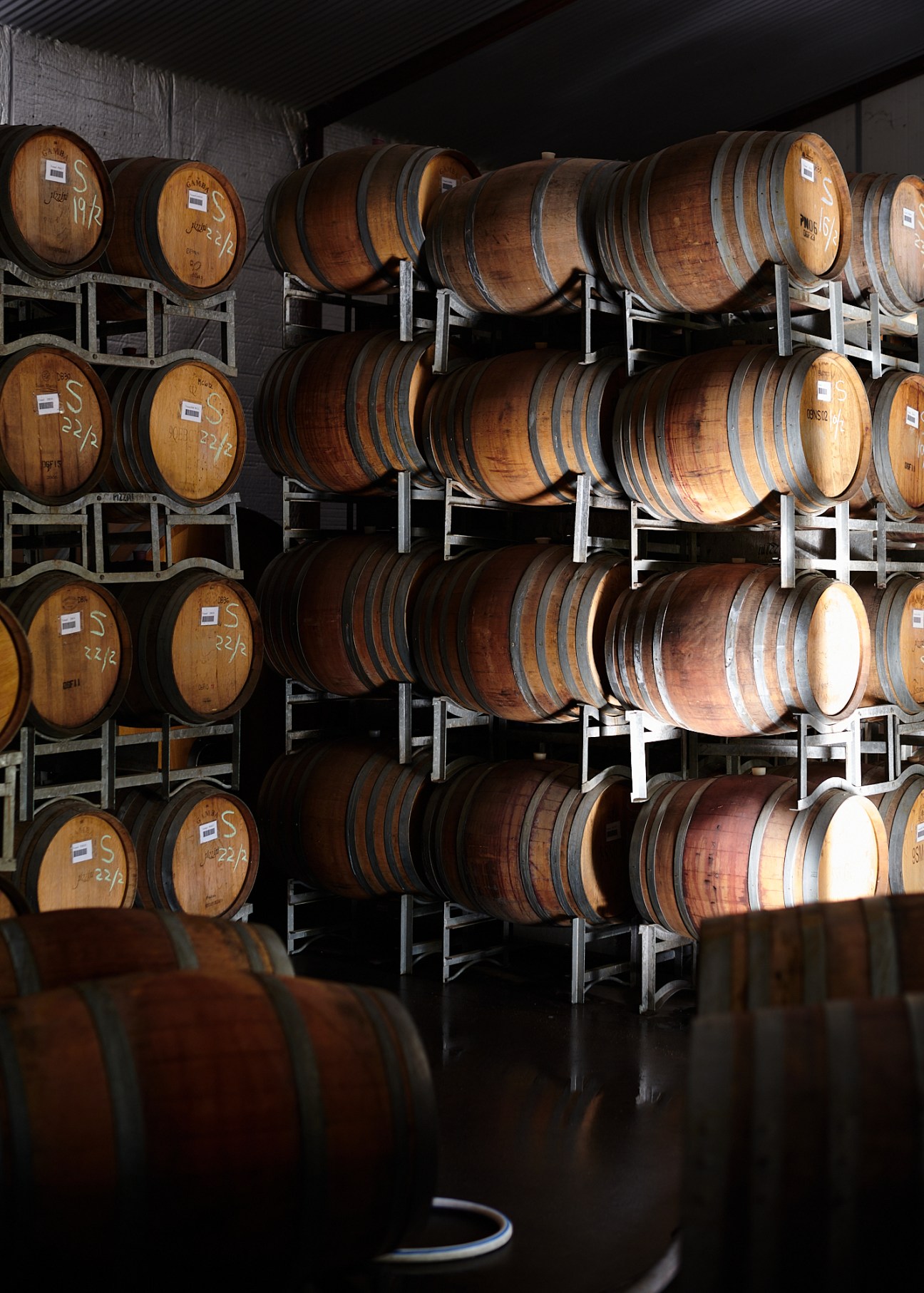 Wooden wine barrels stacked in rows at Pizzini winery cellar