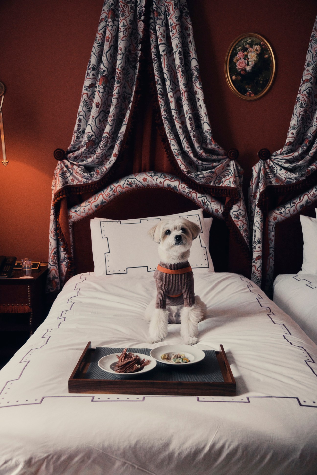 Small white dog in brown sweater sitting on elegant hotel bed with food tray