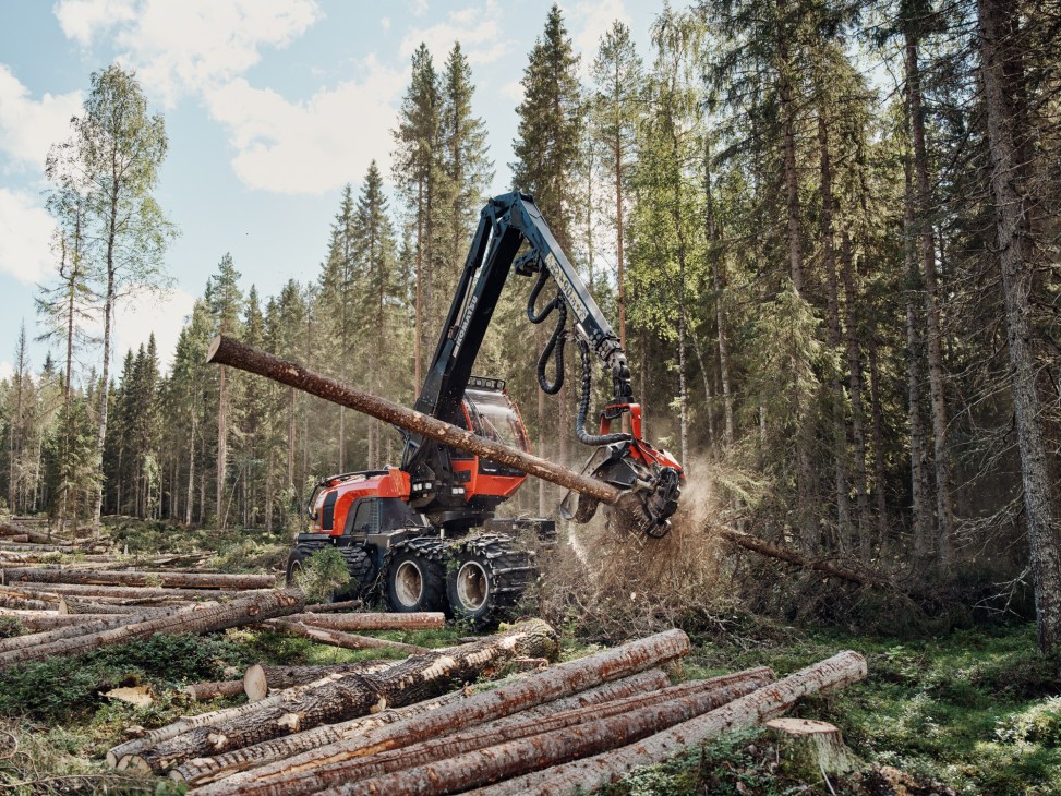 Red and black Komatsu 931XC harvester cutting and processing a large pine tree in a Swedish forest.