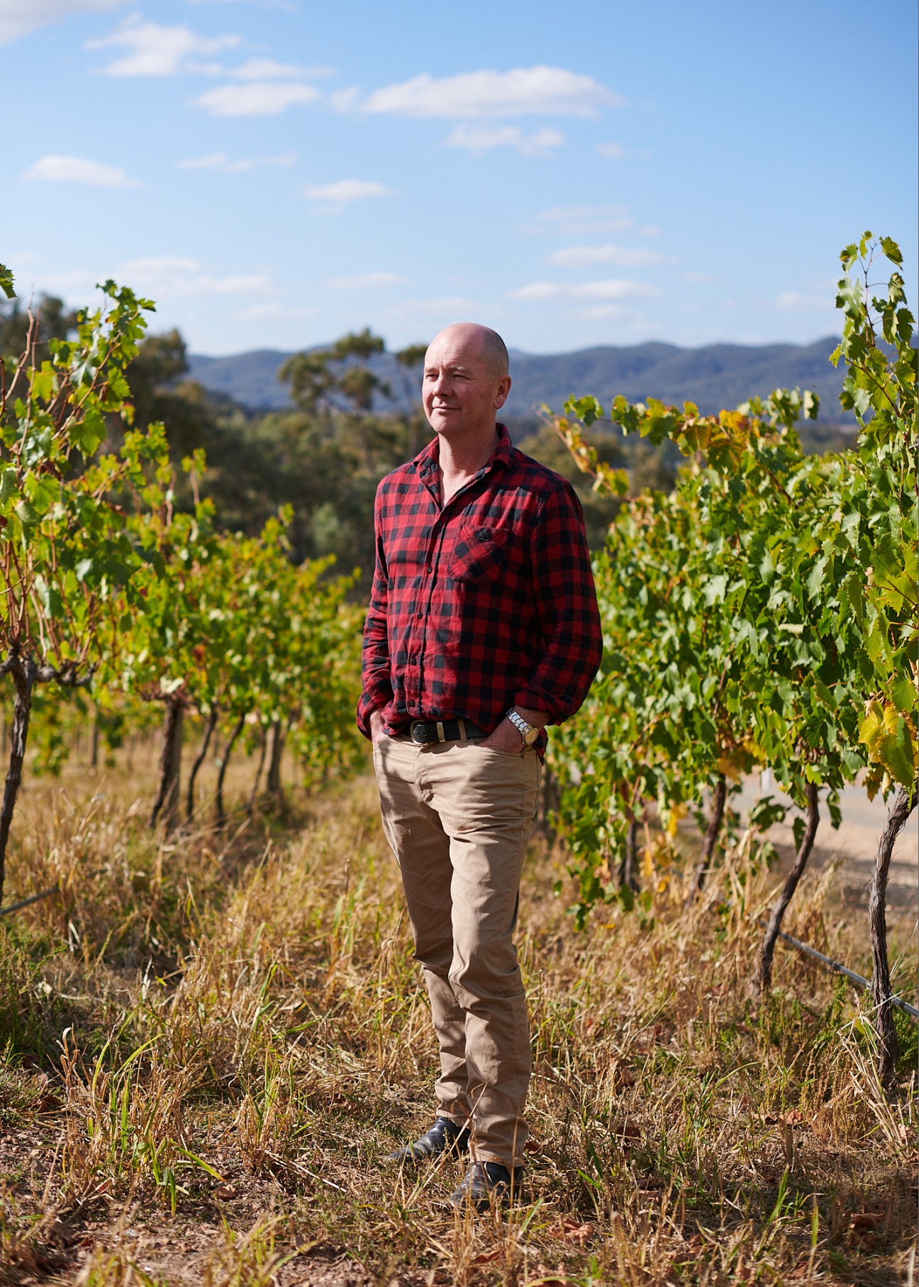Damien Star of Red Feet Wines standing in vineyard with rolling hills in background