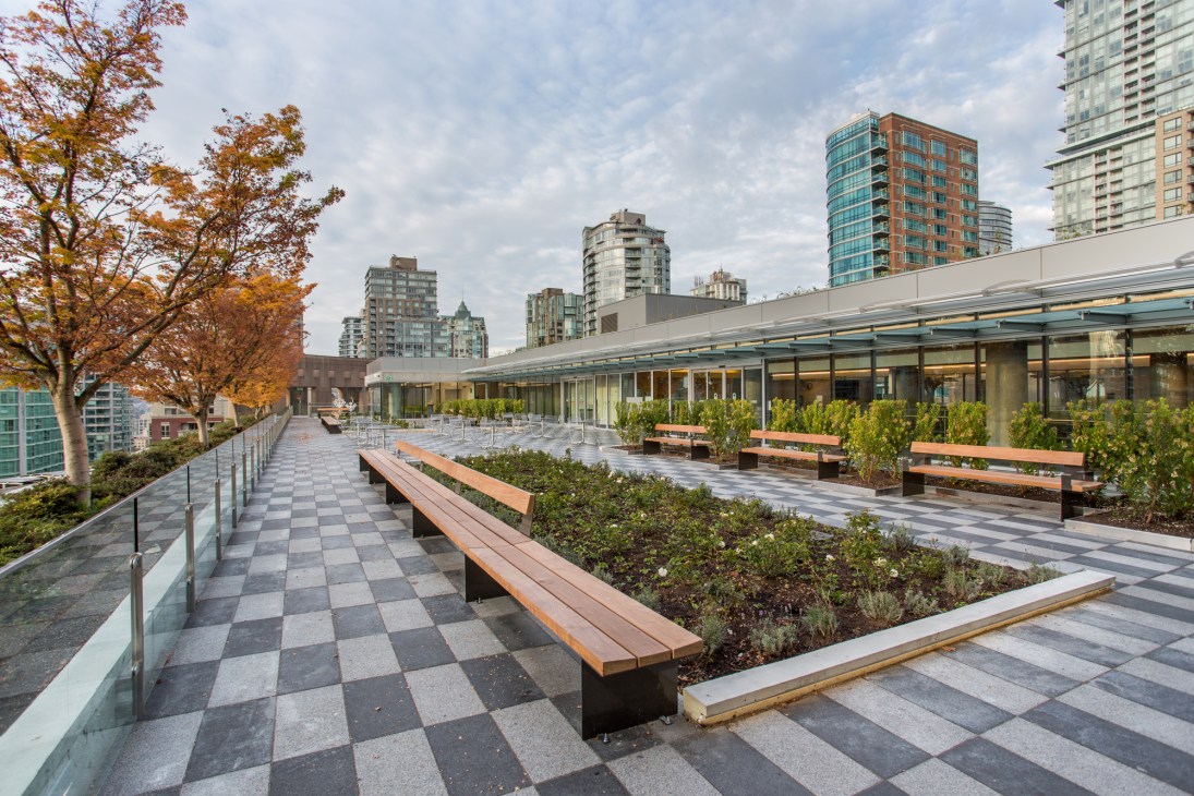 Modern rooftop terrace with wooden benches, planted beds, glass railings and urban skyline backdrop